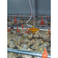 Chicken Drinking Line for Broiler/Breeder/Layer Chickens